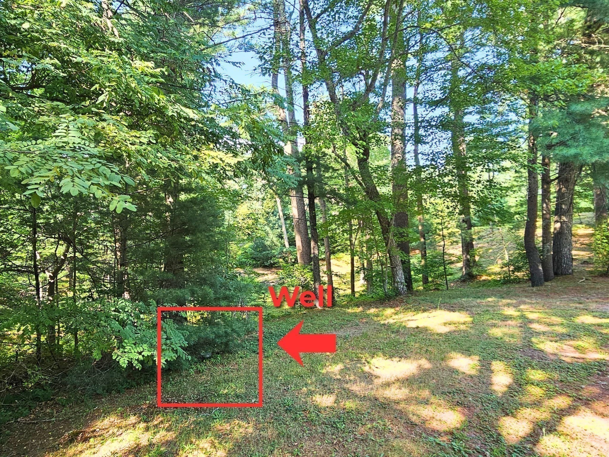 0 Nel Bonney Road Property Photo 11