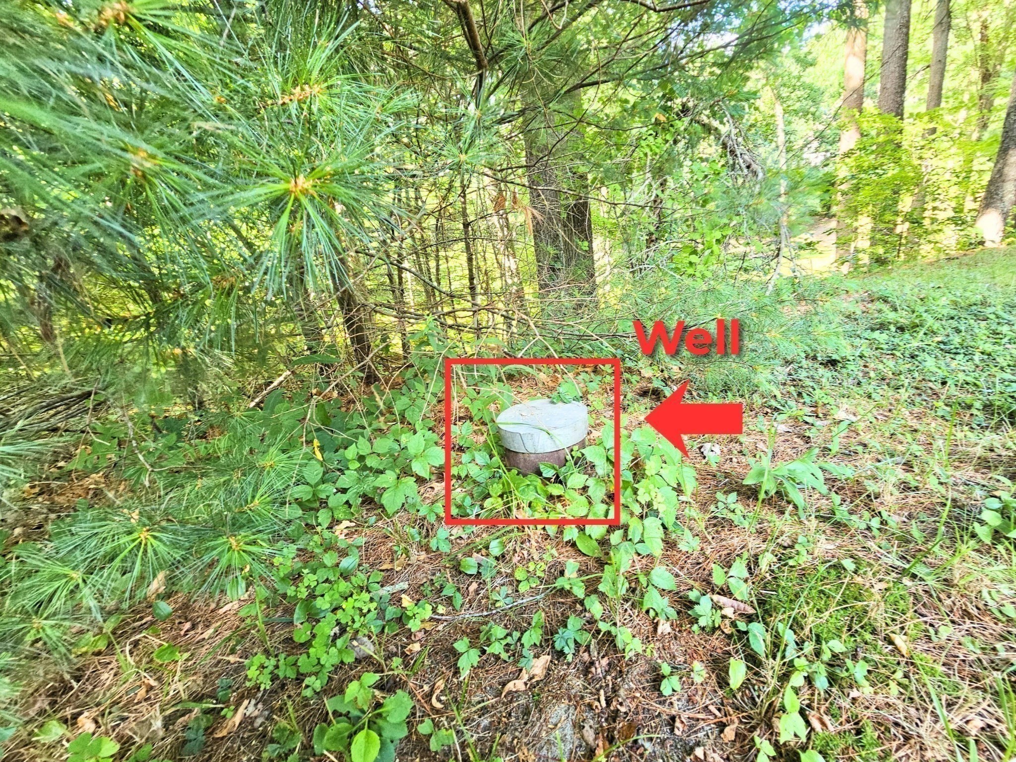 0 Nel Bonney Road Property Photo 12