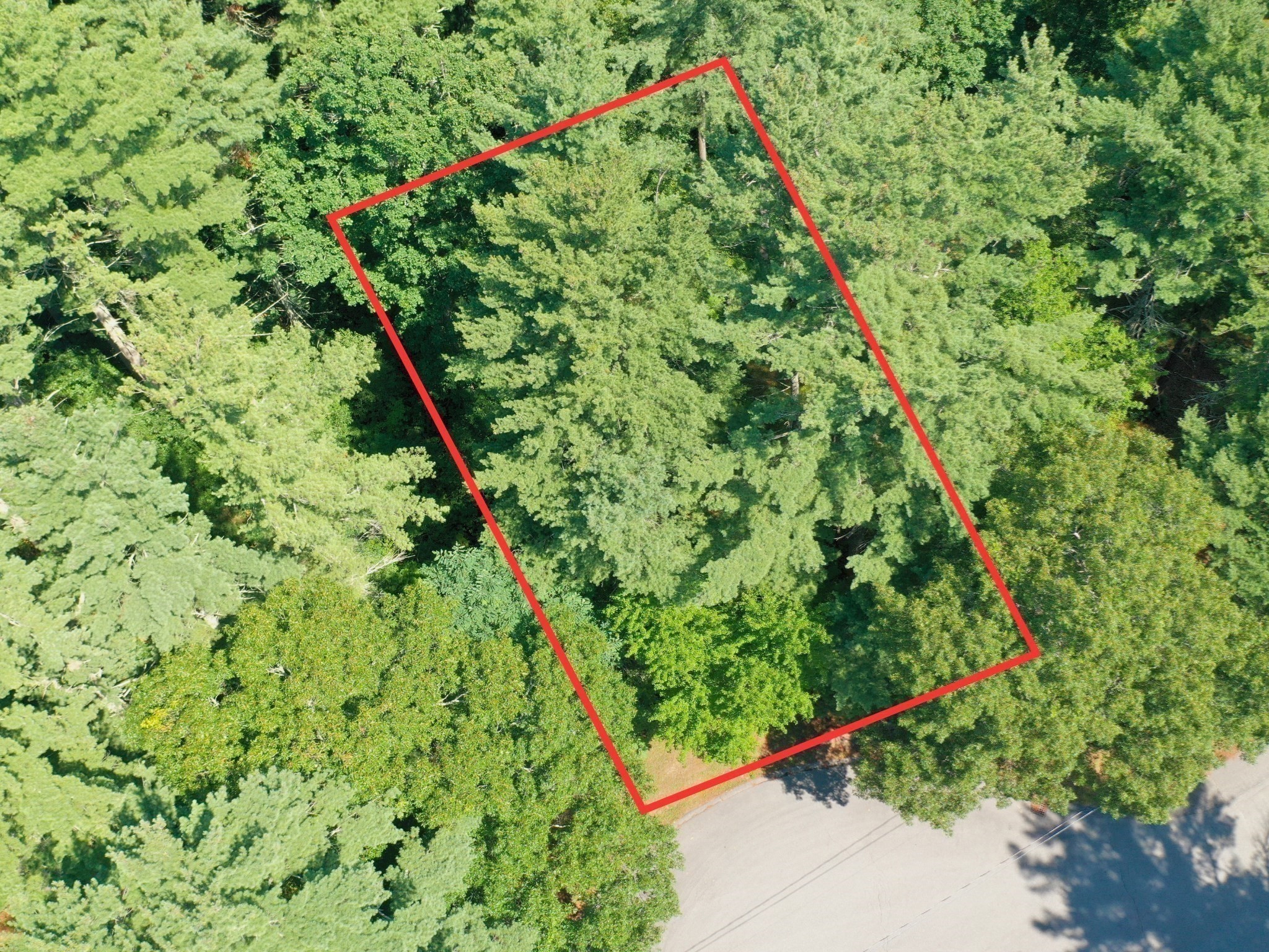 0 Nel Bonney Road Property Photo 13