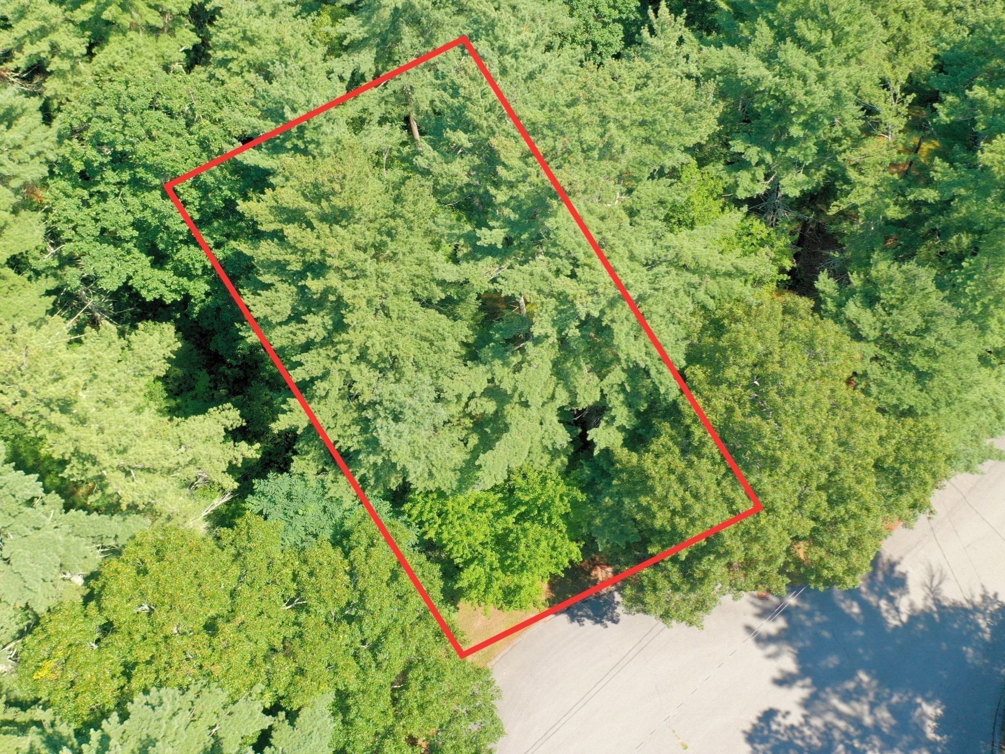 0 Nel Bonney Road Property Photo 15