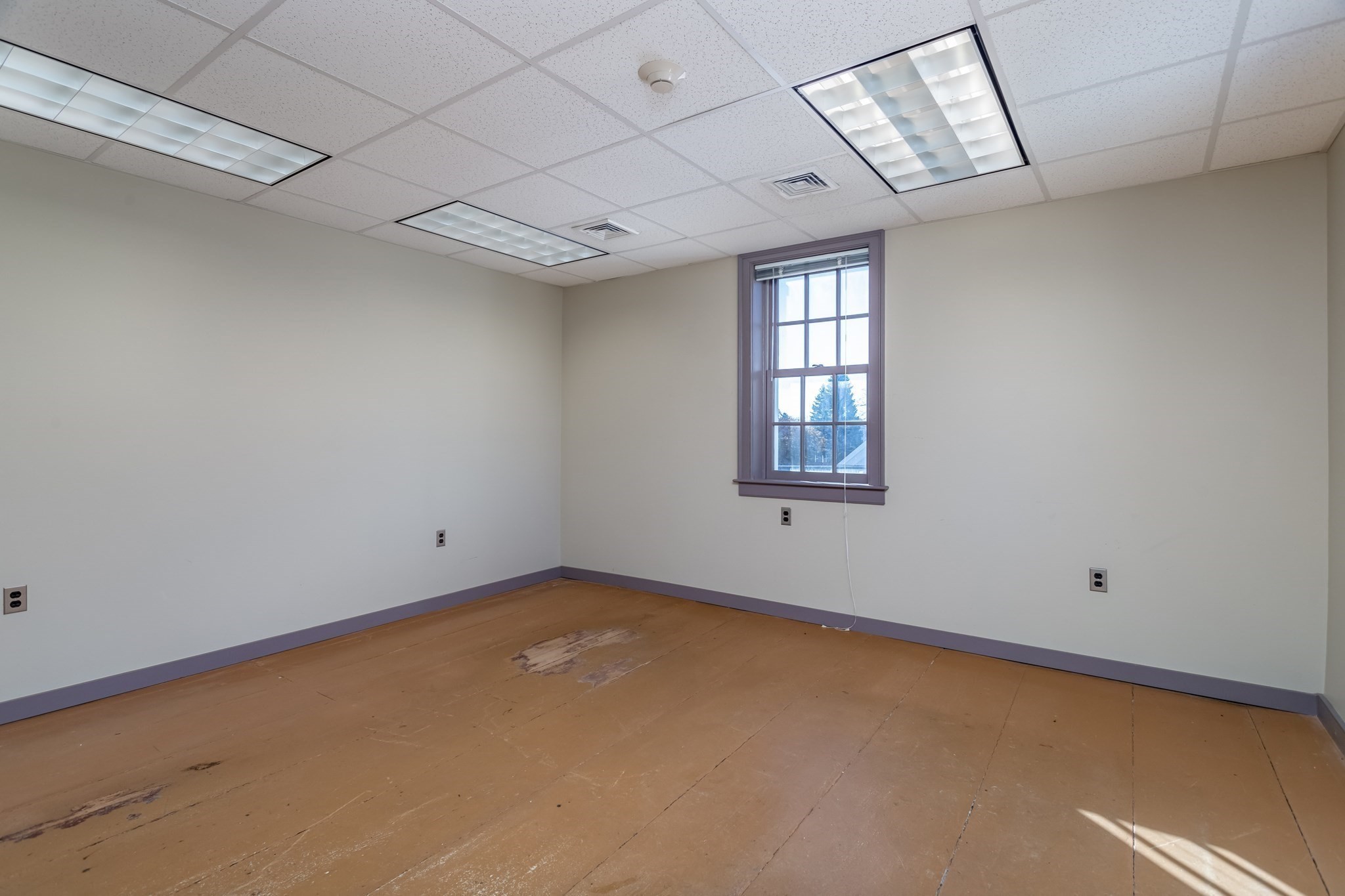 10 Common Rd Property Photo 16