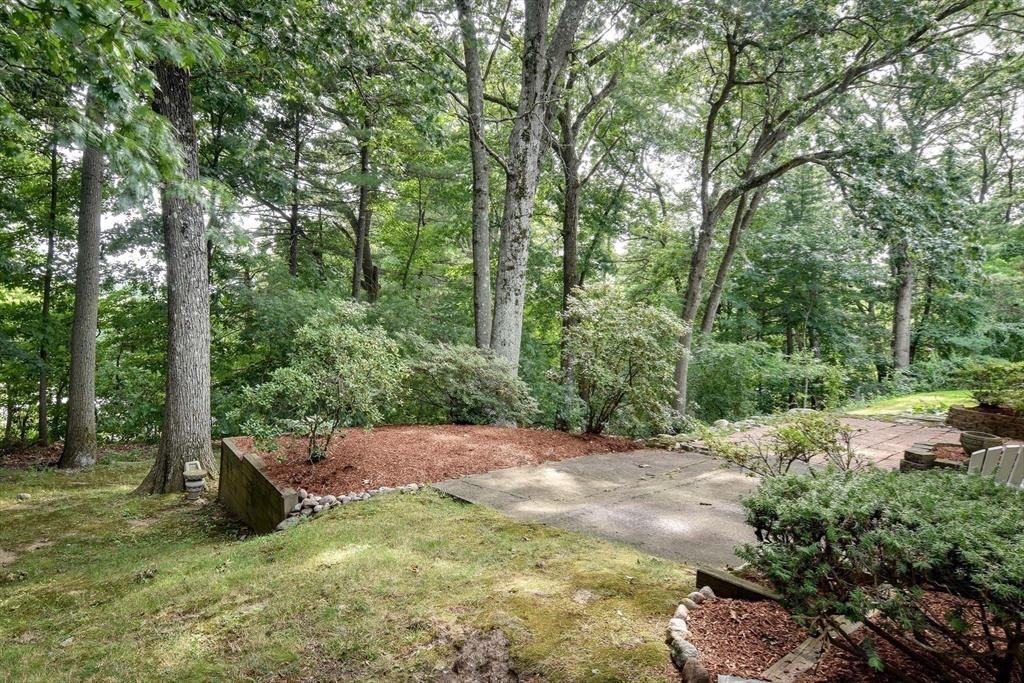 24 Upper Joclyn Ave Property Photo 22