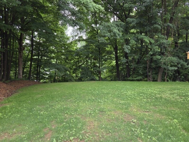 71 Pine St # B Property Photo 33