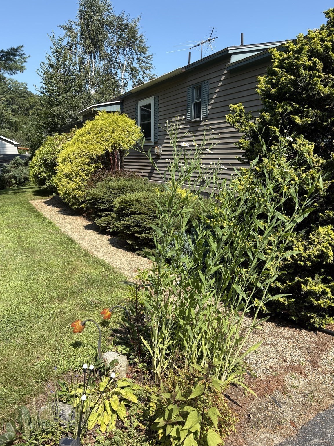 42 Dana Rd. Property Photo 3
