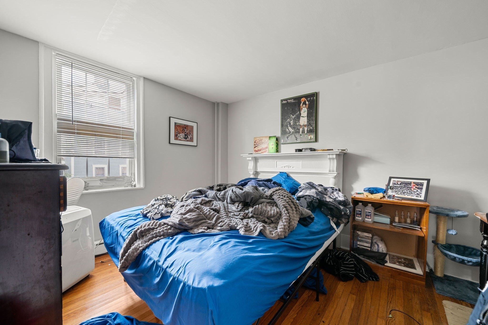 19 Essex St Property Photo 25