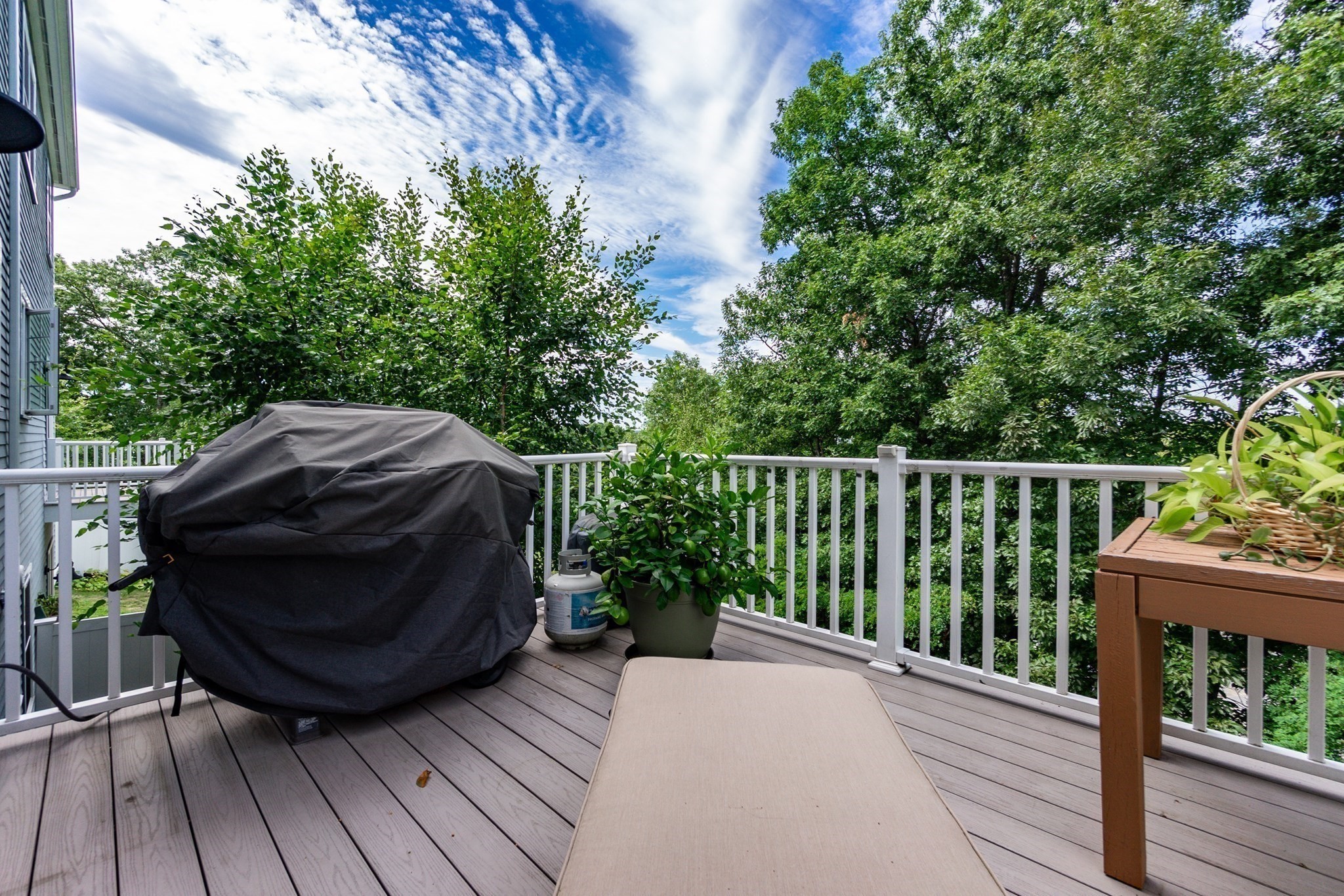 41 Clarks Hill Circle # 41 Property Photo 10