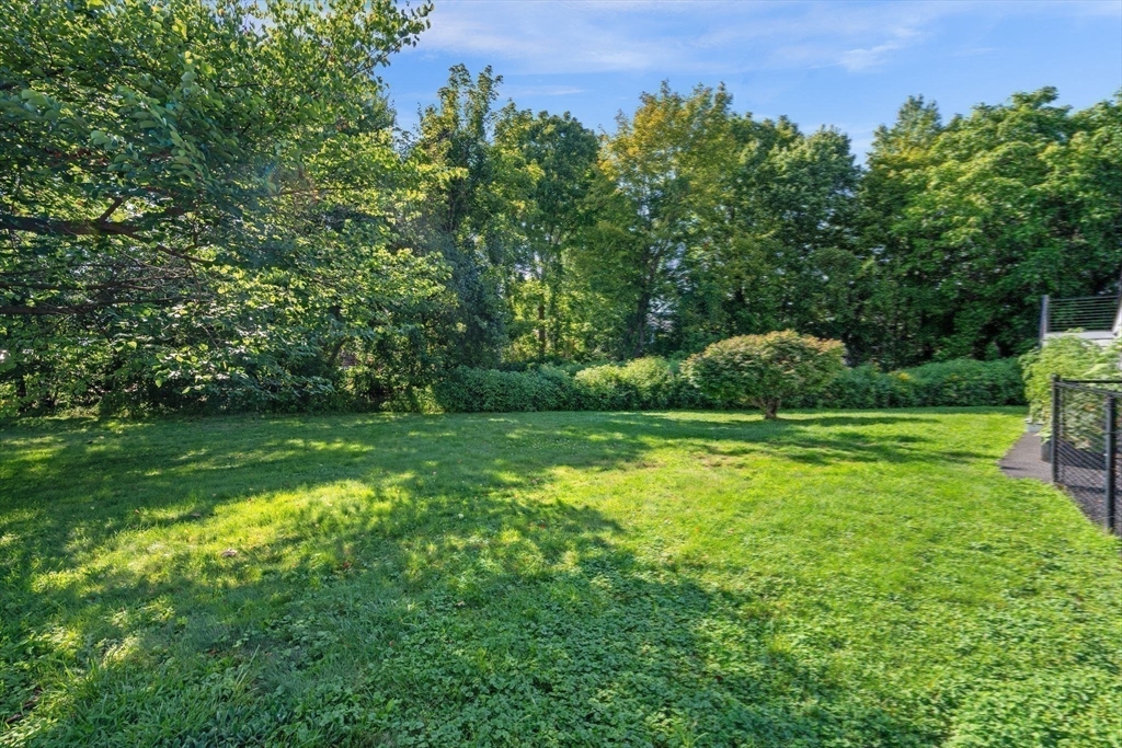 21 Border Rd Property Photo 39