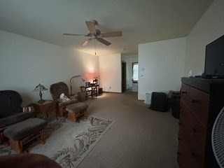 12 Butterworth Road Property Photo 18