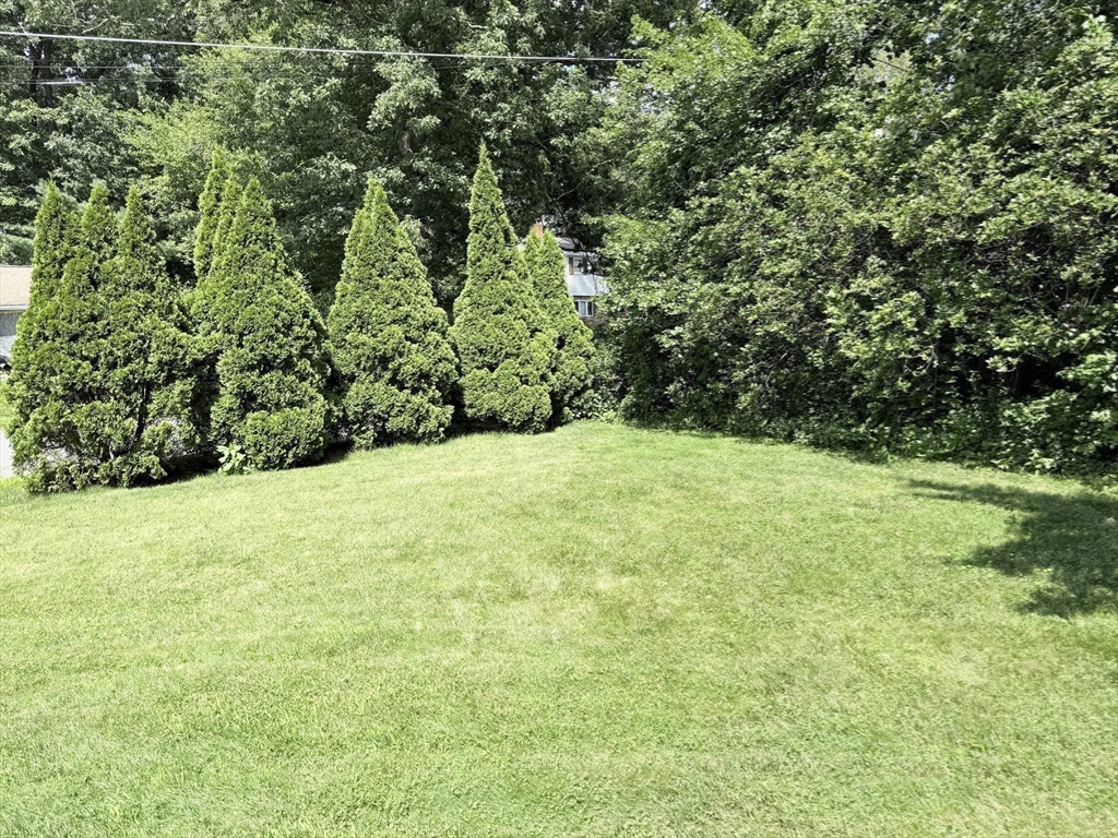 8 Warren Road Property Photo 2