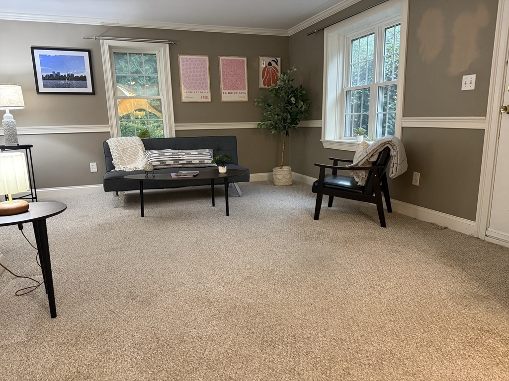 8 Warren Road Property Photo 11
