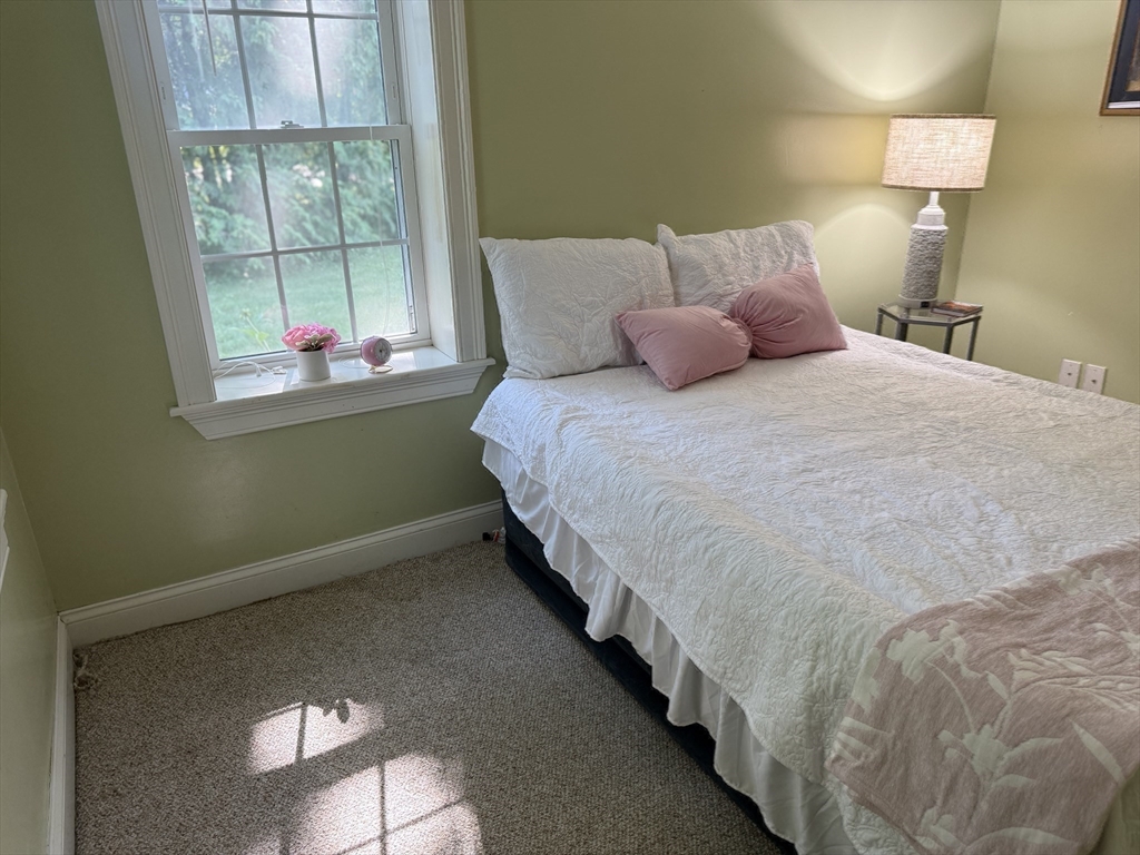 8 Warren Road Property Photo 13