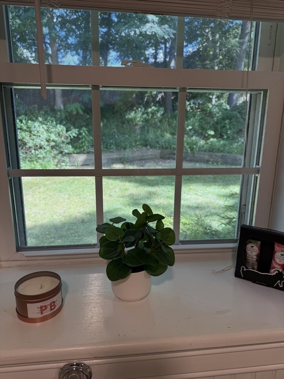 8 Warren Road Property Photo 18