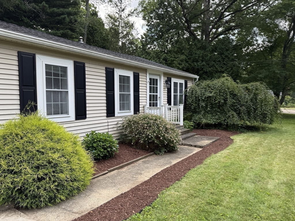 8 Warren Road Property Photo 19