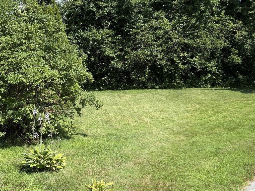 8 Warren Road Property Photo 22