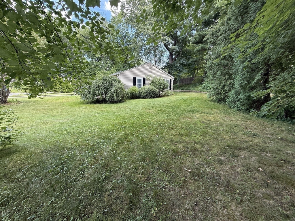 8 Warren Road Property Photo 23