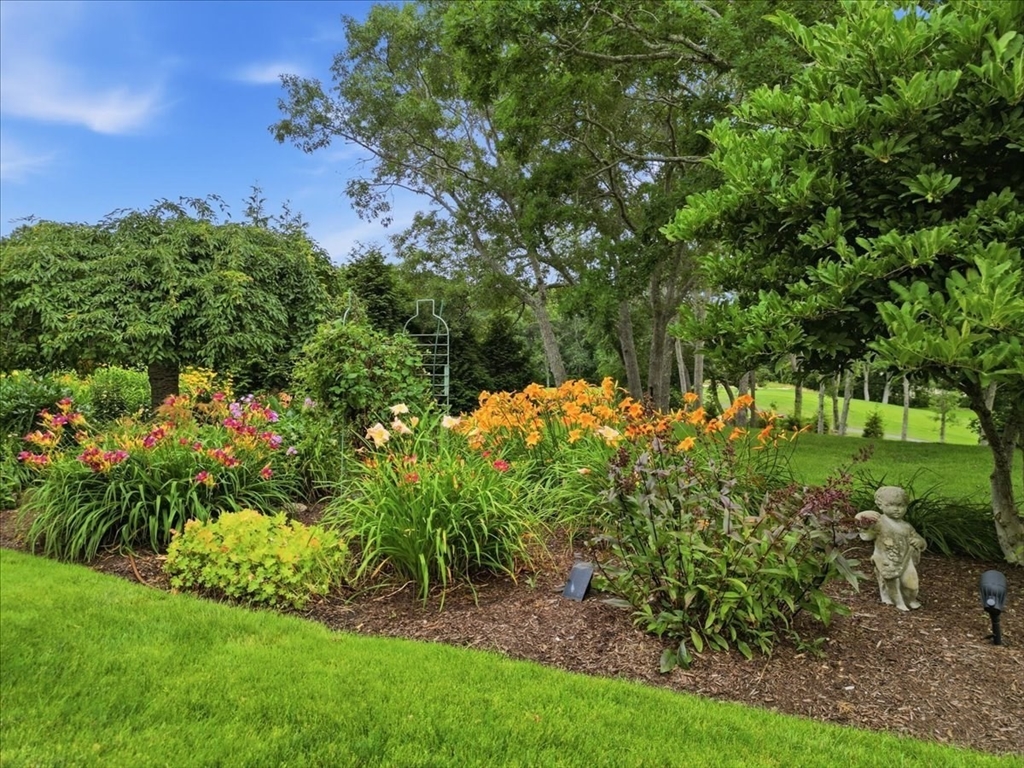 43 White Cliffs Drive Property Photo 8
