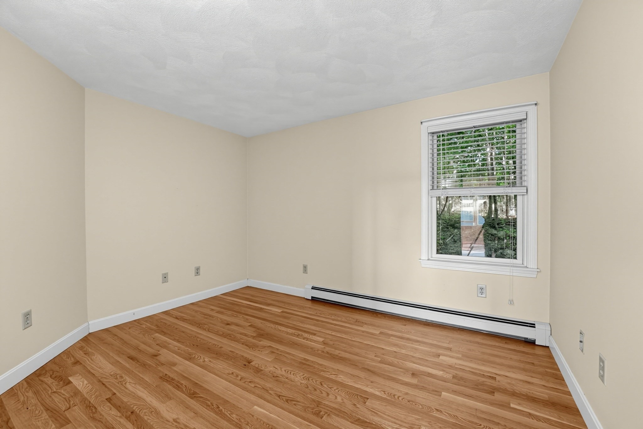 59 Walnut Street Property Photo 14