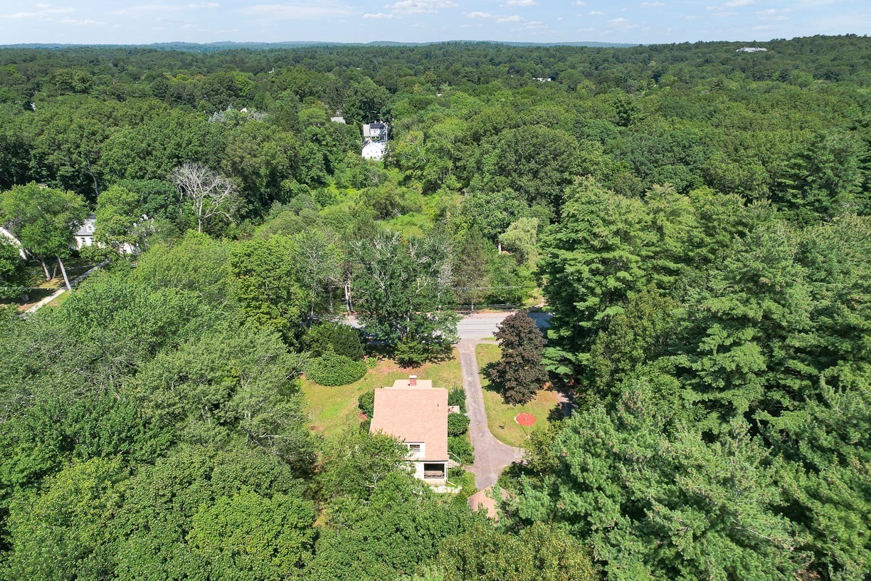 53 Elmwood Rd Property Photo 8