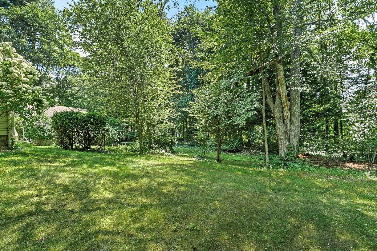 53 Elmwood Rd Property Photo 16