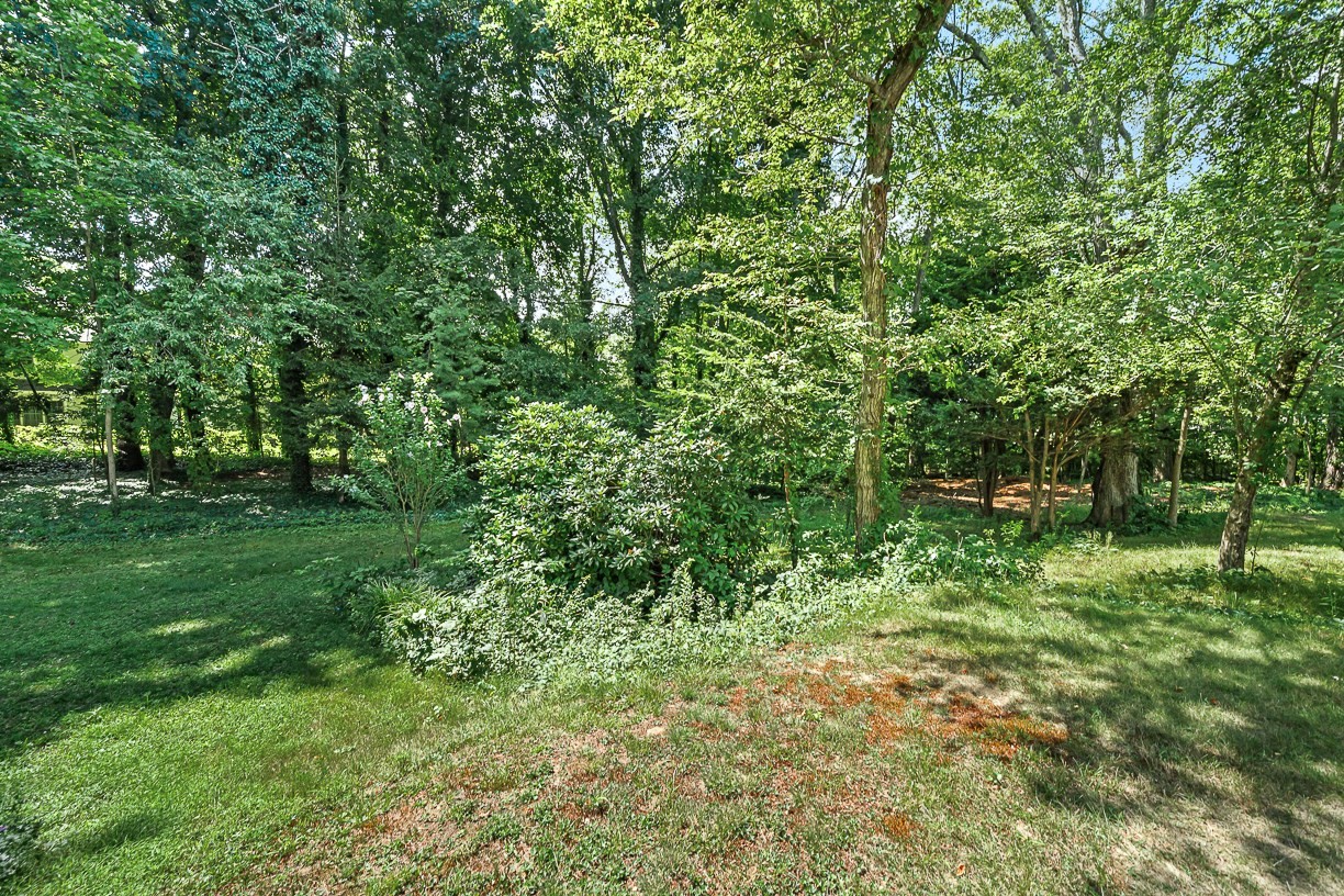 53 Elmwood Rd Property Photo 18