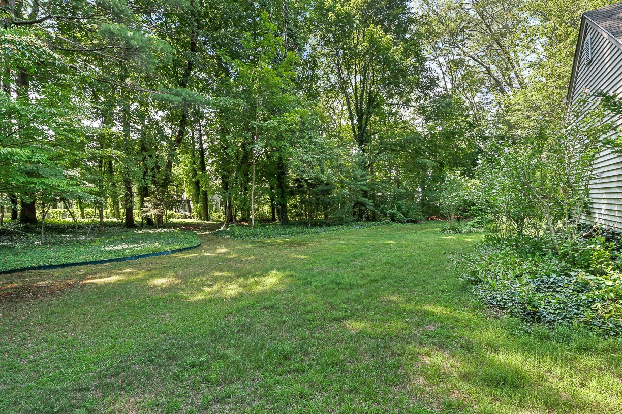 53 Elmwood Rd Property Photo 20