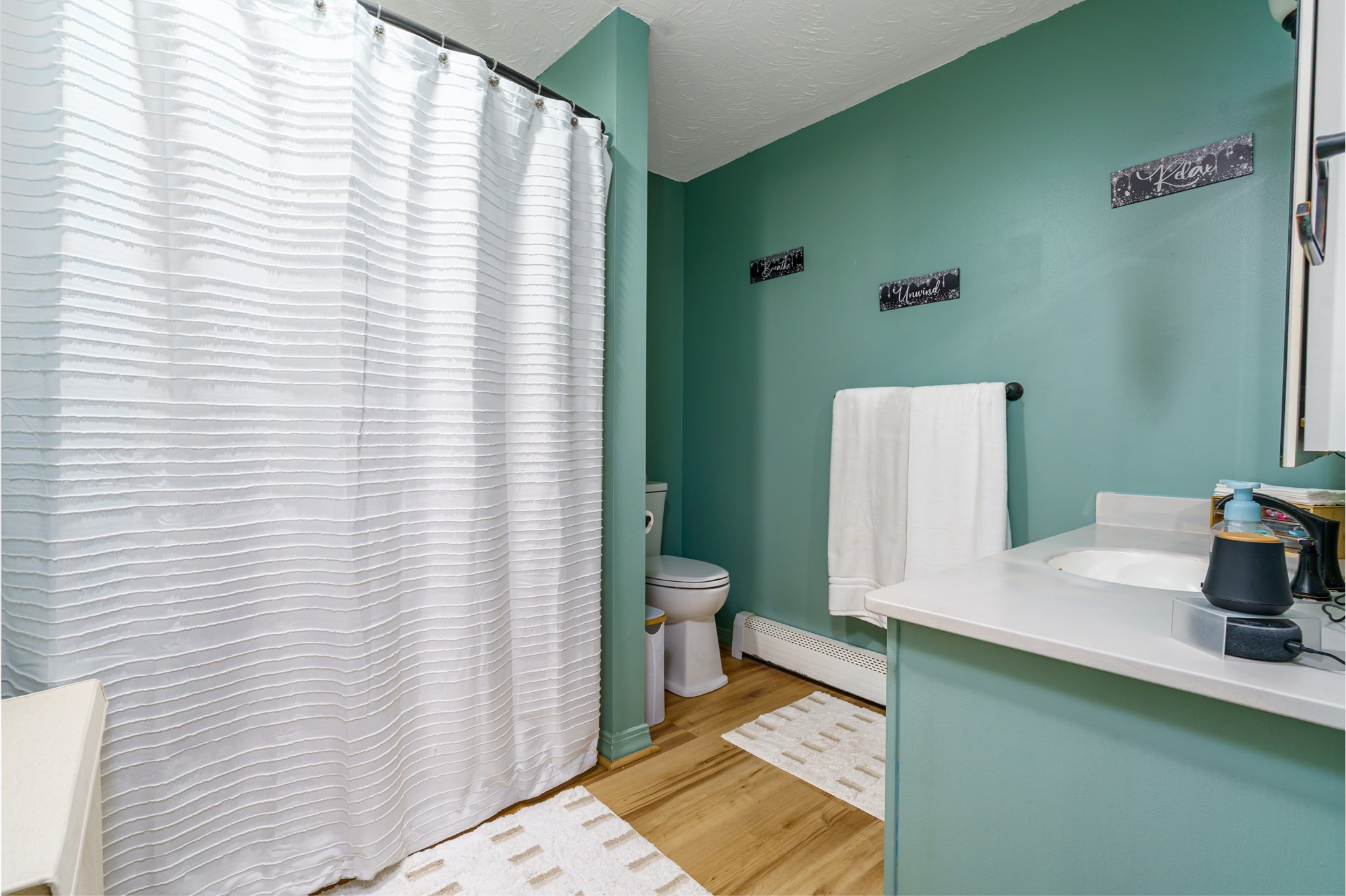 59 Hudson St Property Photo 21
