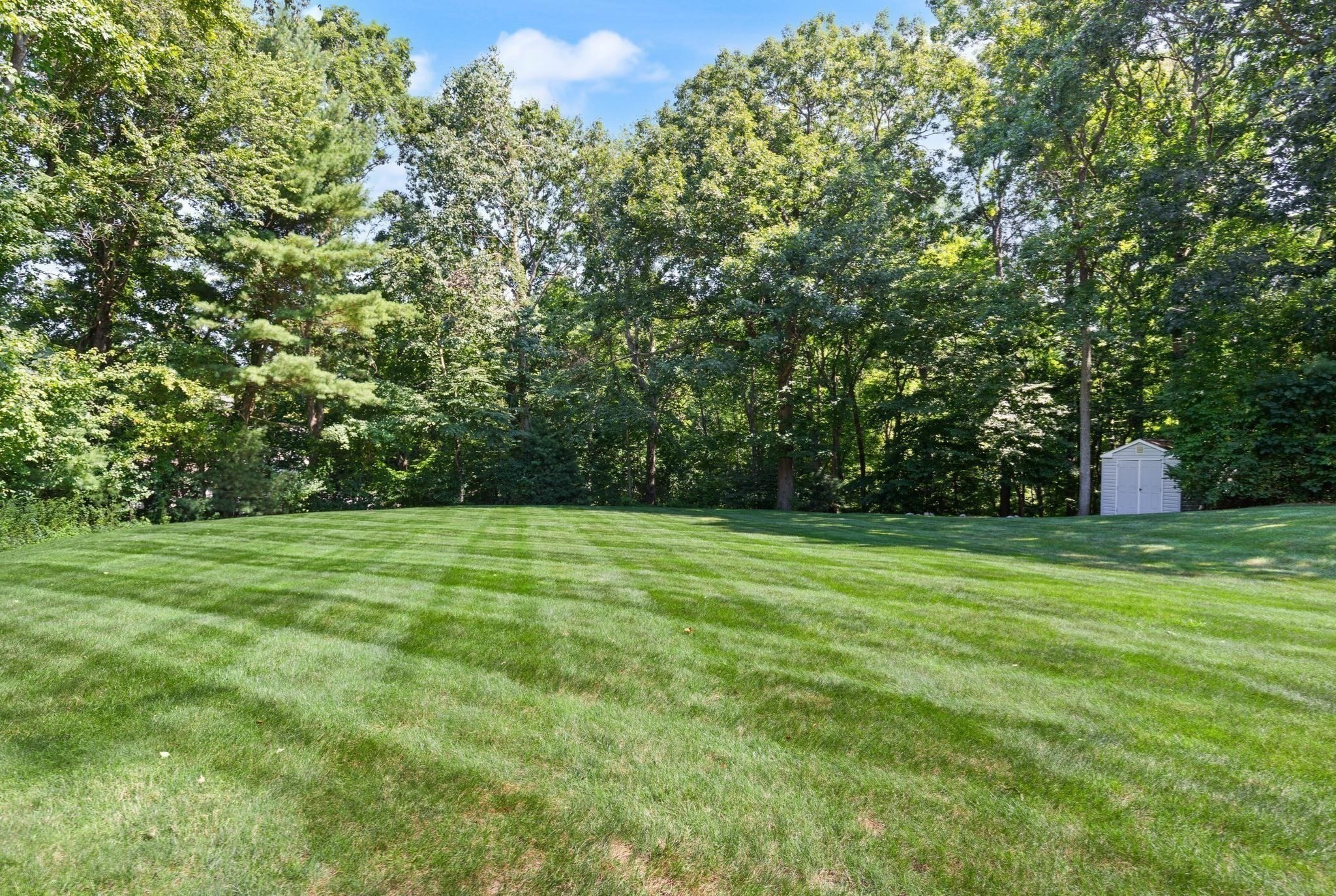 60 Cosma Road Property Photo 35