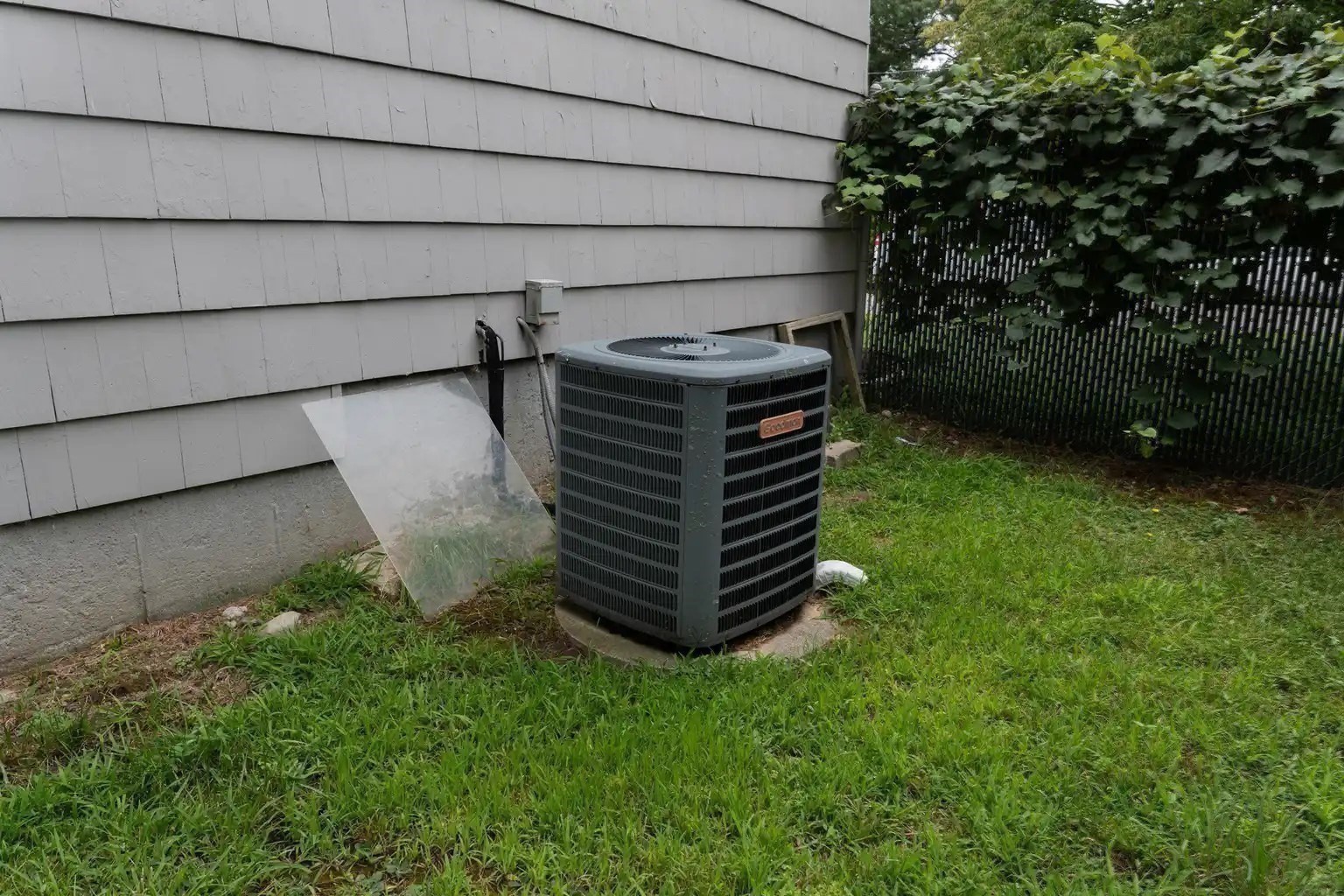 24 Hanson St Property Photo 24