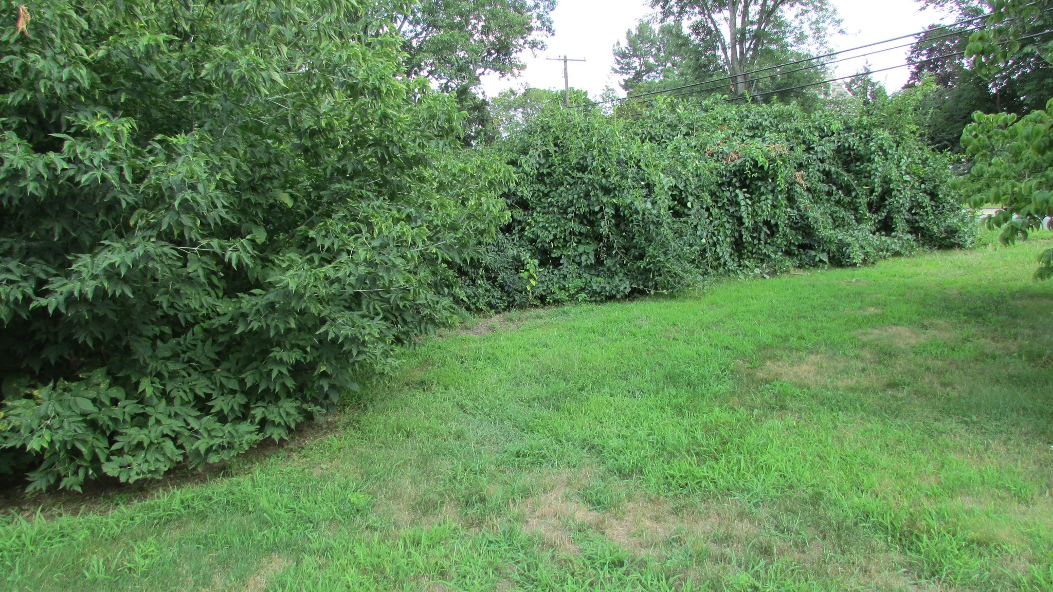 308 Salem Road Property Photo 2