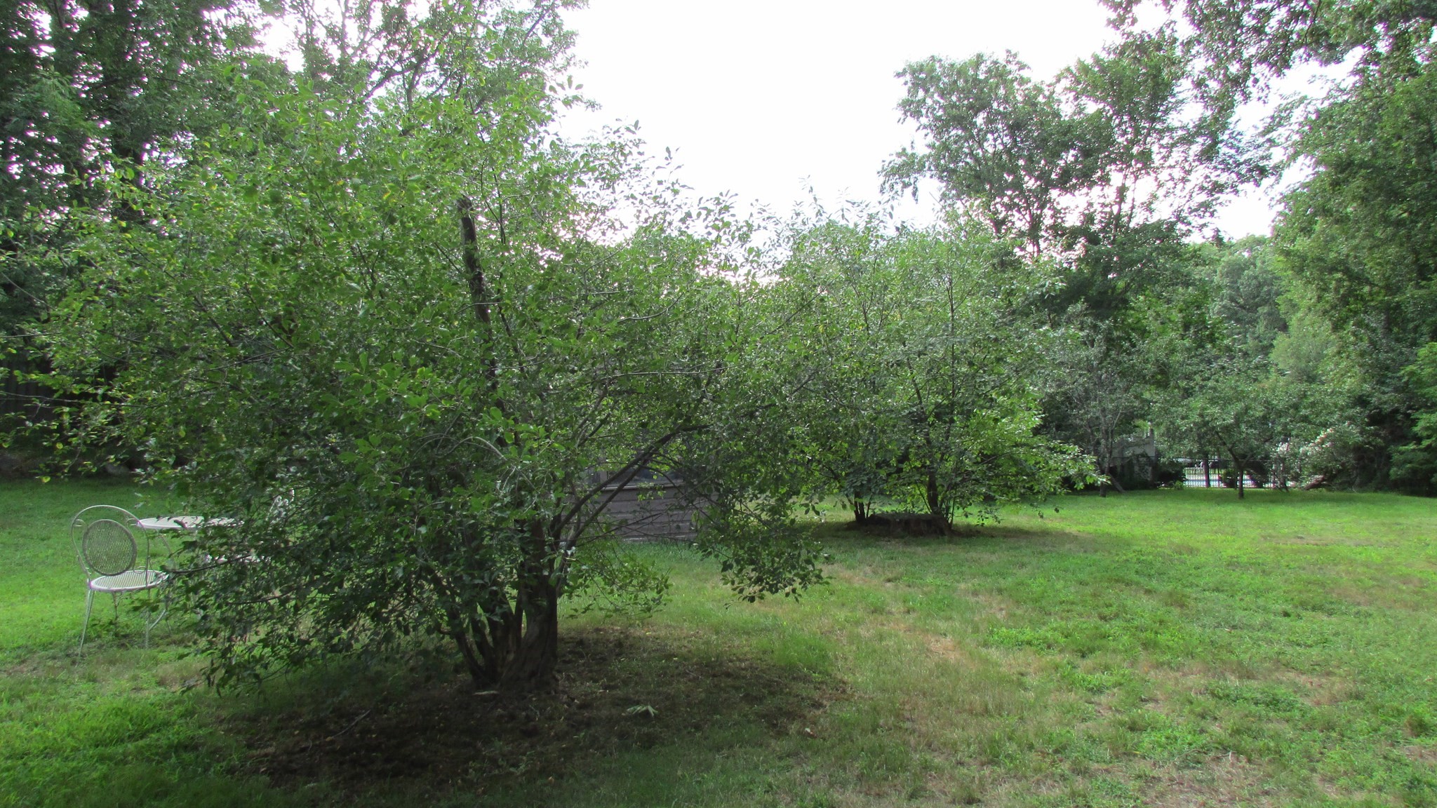 308 Salem Road Property Photo 7