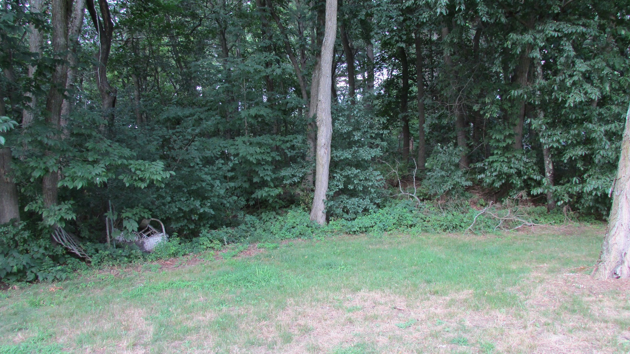 308 Salem Road Property Photo 8