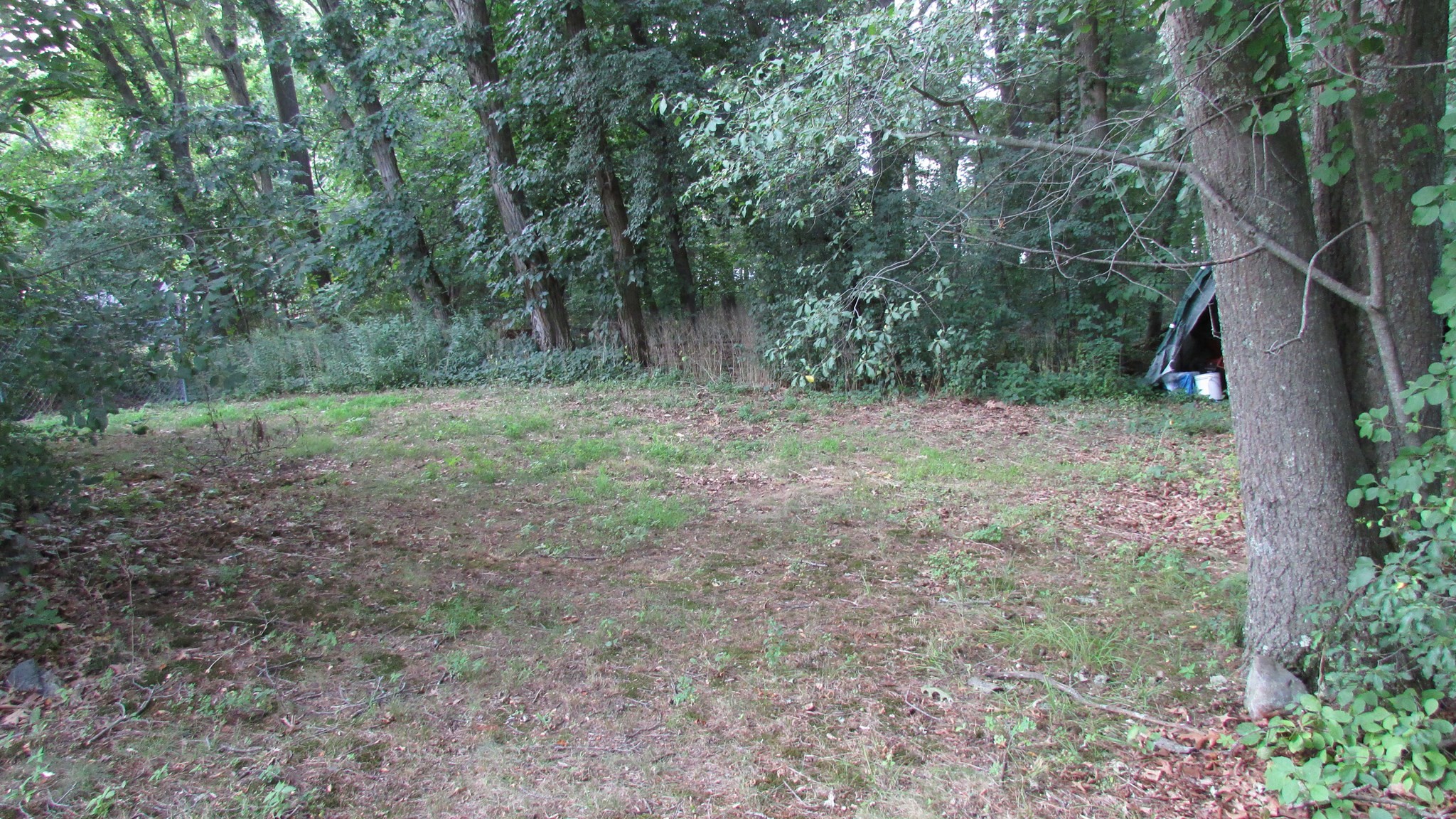 308 Salem Road Property Photo 9