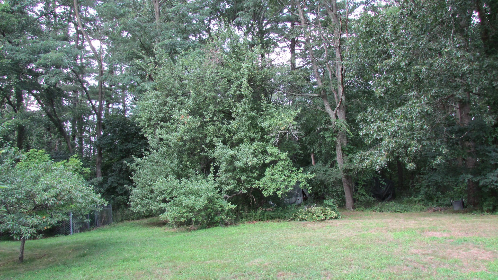 308 Salem Road Property Photo 13