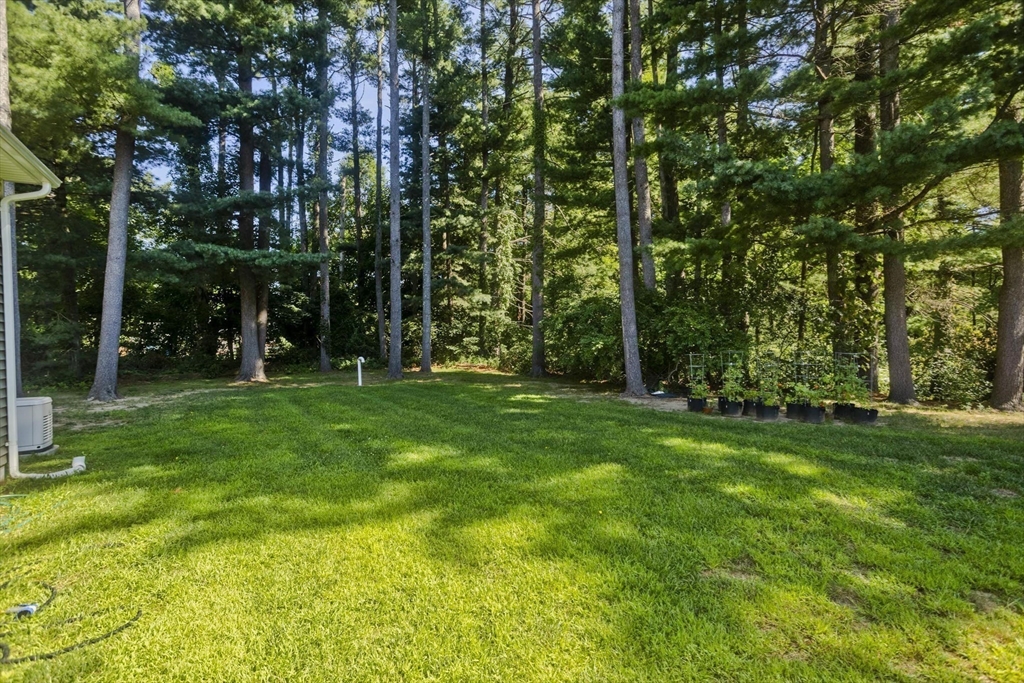 6 Joan St Property Photo 42