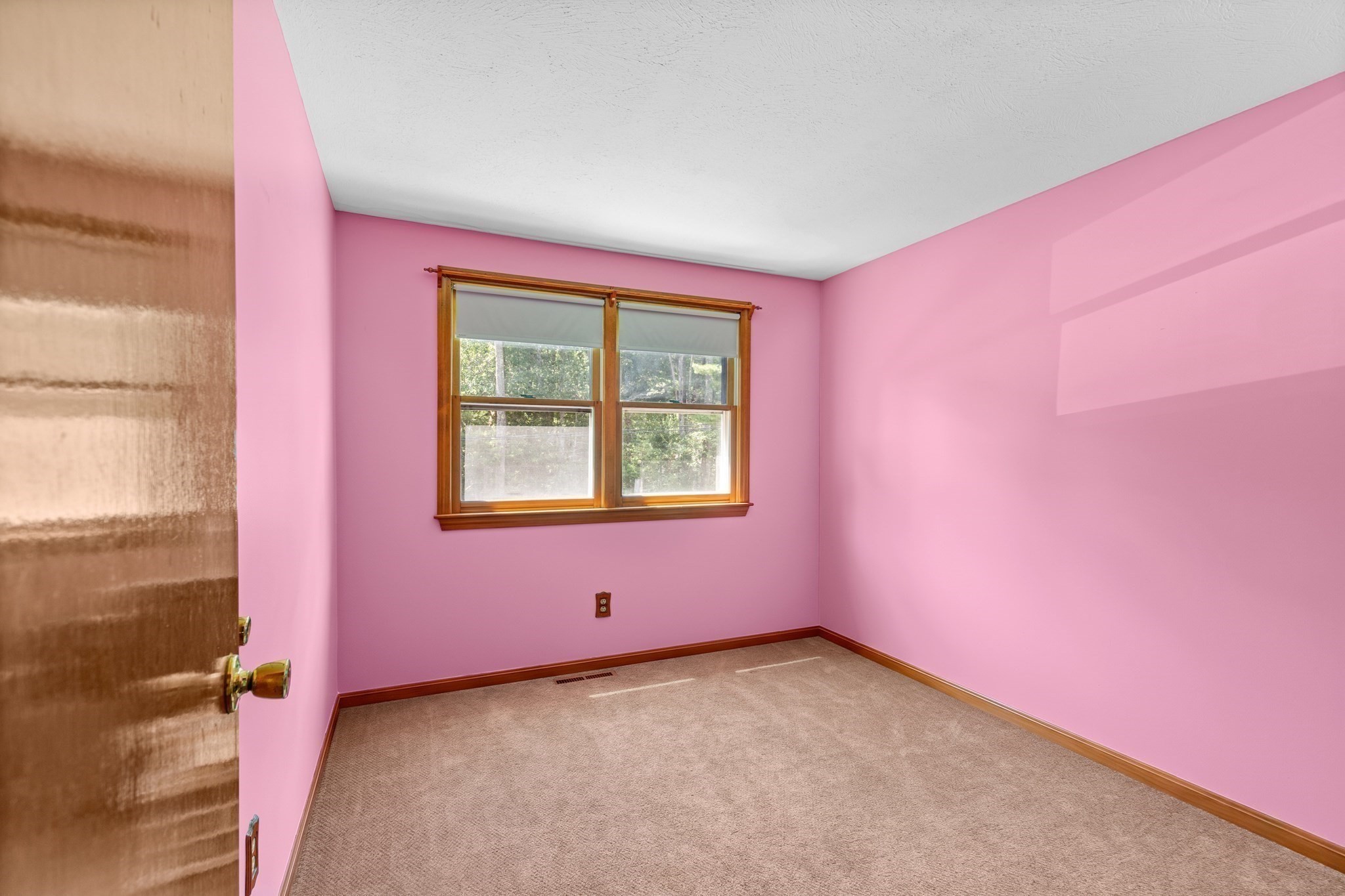 49 Forest St Property Photo 11