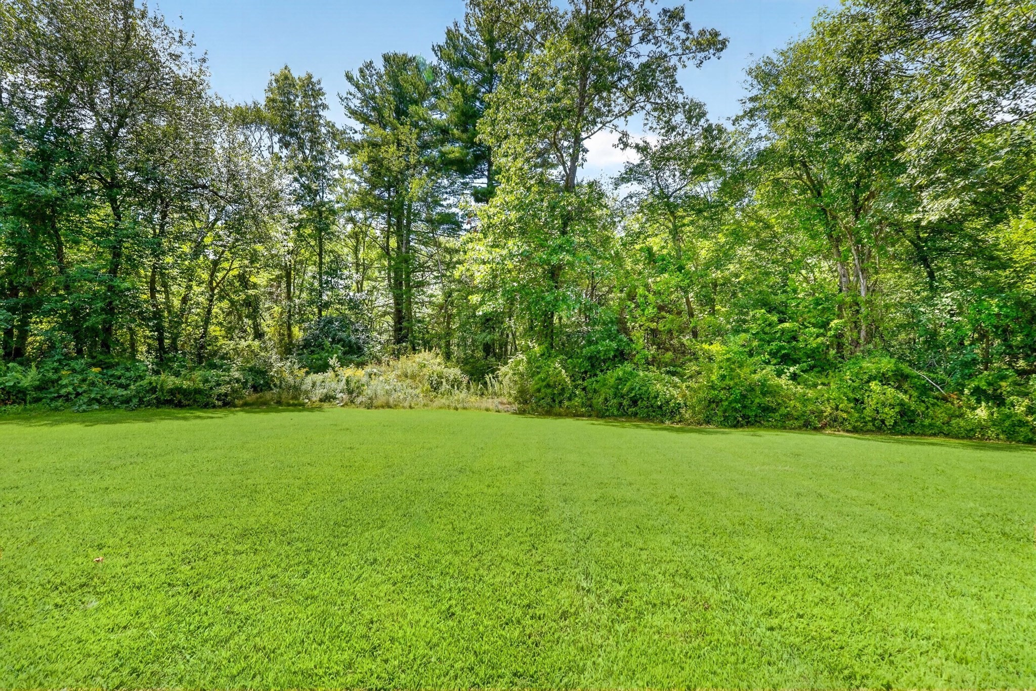 11 Appletree Lane Property Photo 28