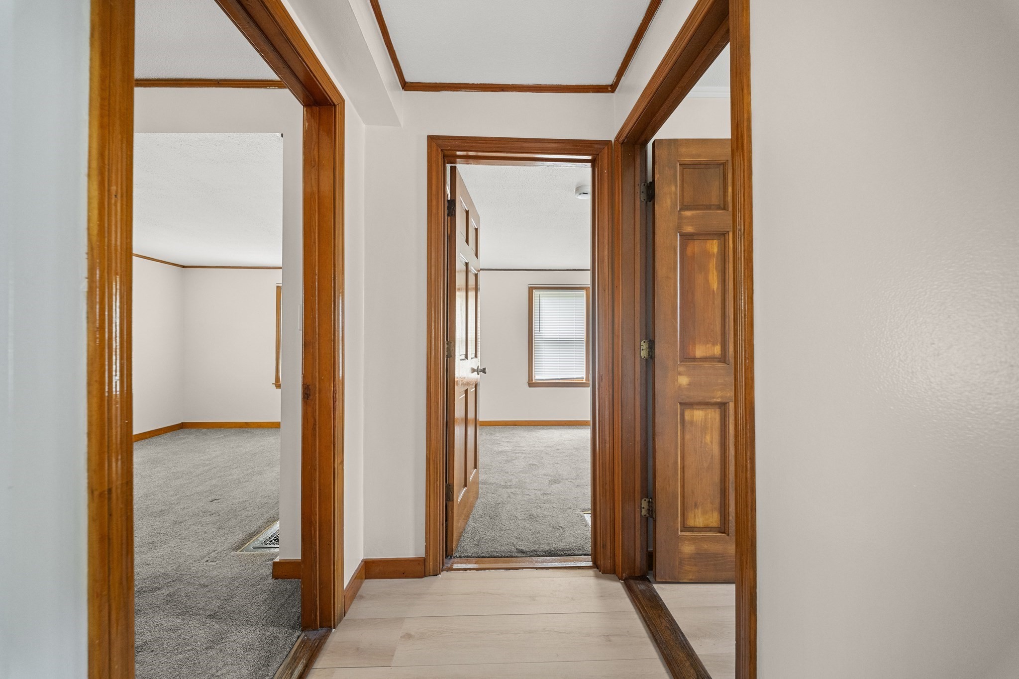 15 Shirley Street Property Photo 10