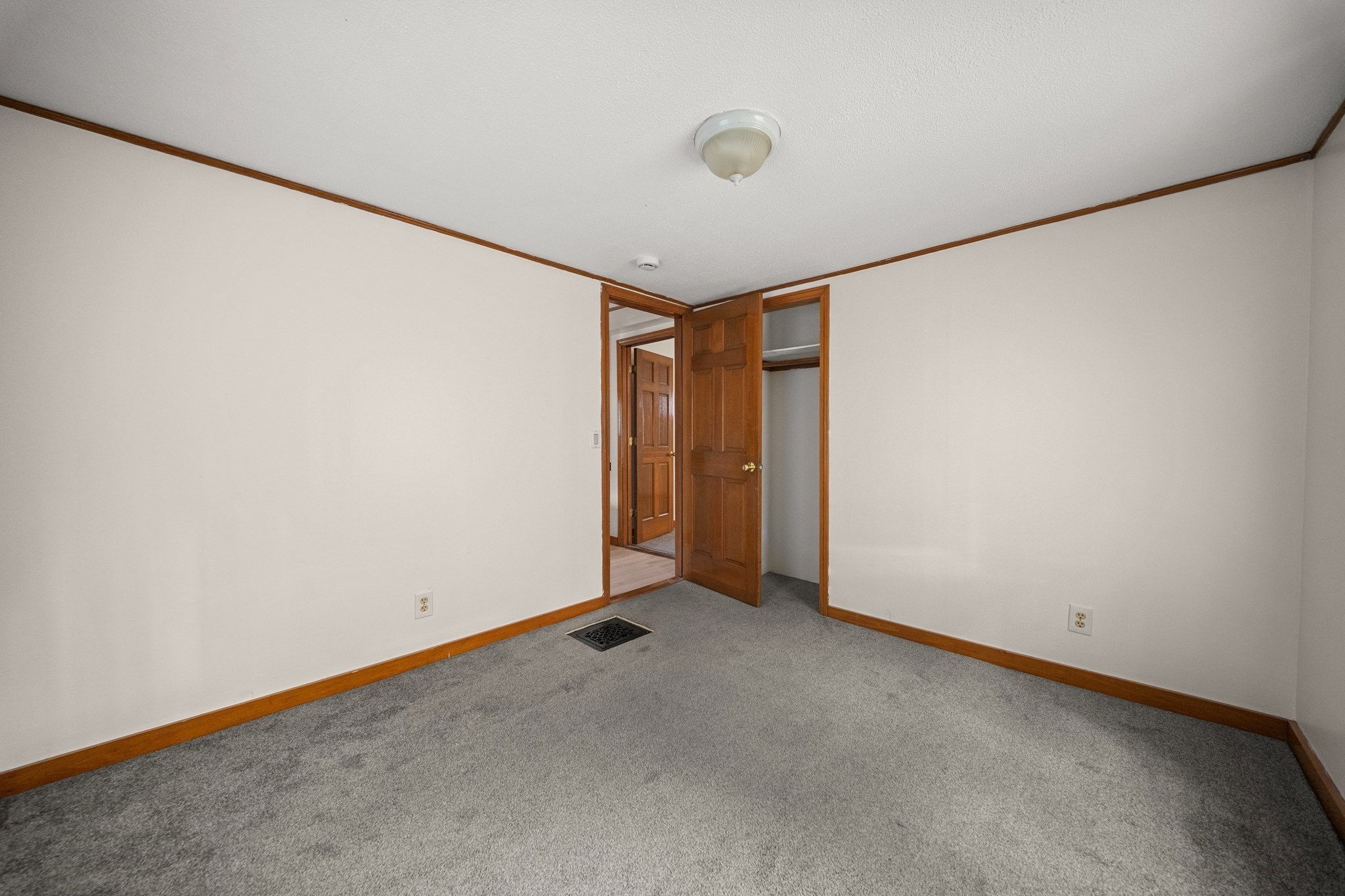 15 Shirley Street Property Photo 14