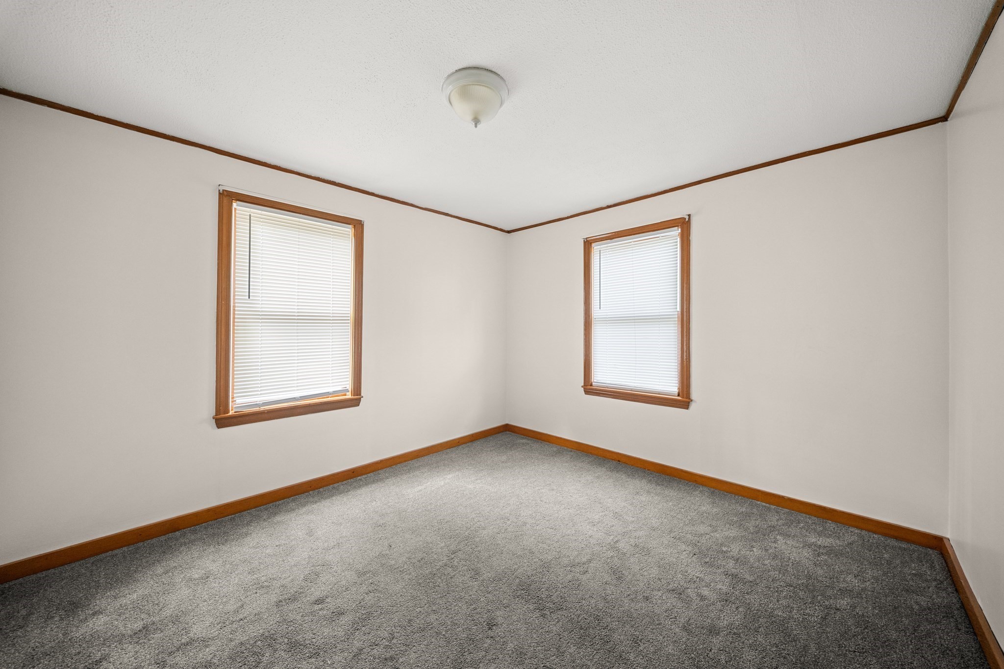 15 Shirley Street Property Photo 15