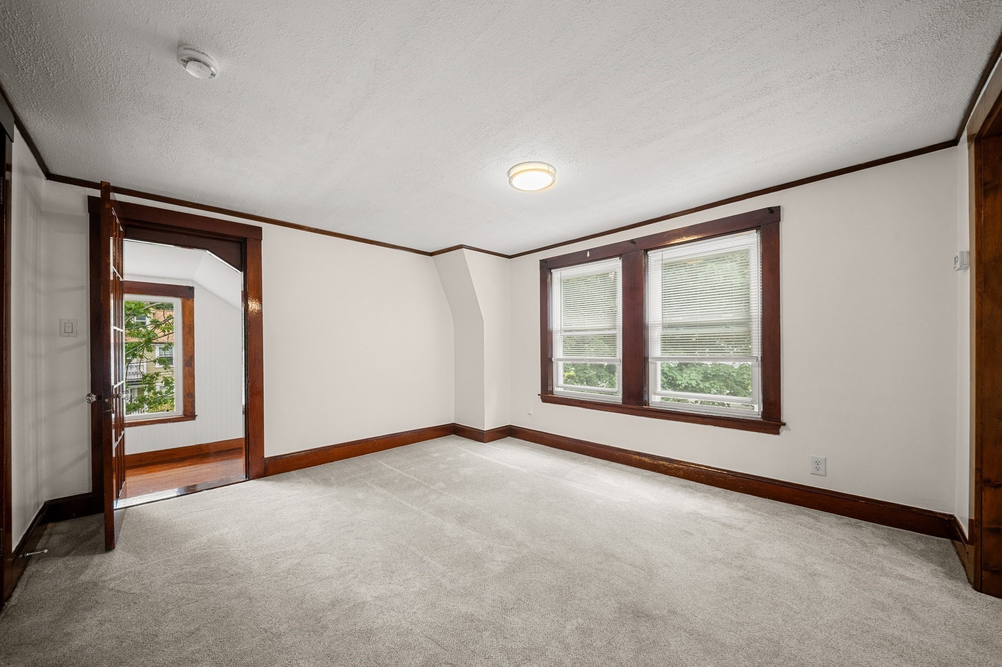 15 Shirley Street Property Photo 17