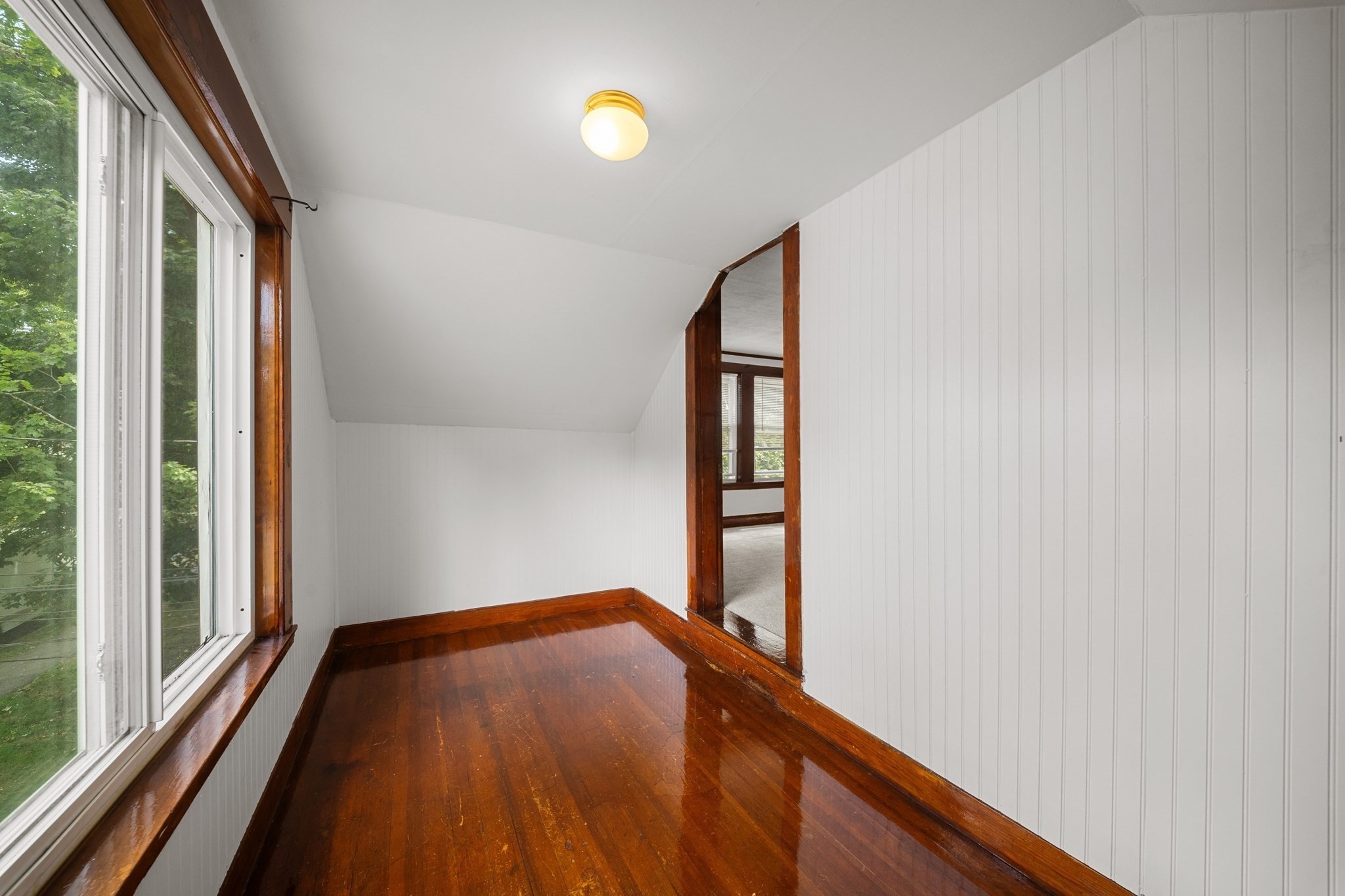 15 Shirley Street Property Photo 19
