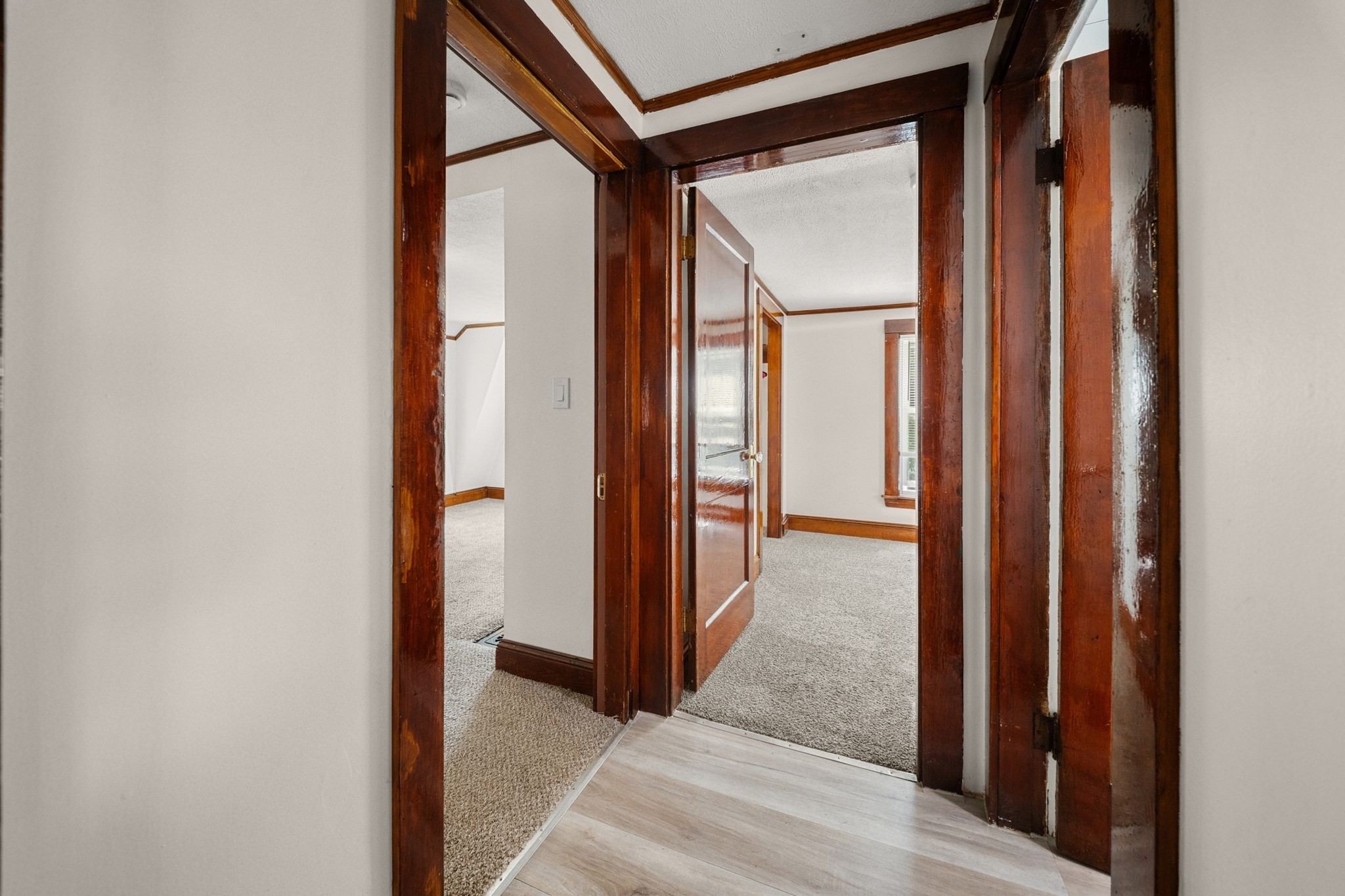 15 Shirley Street Property Photo 22