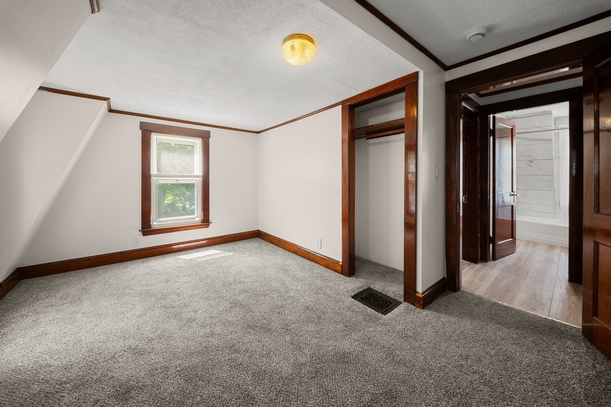 15 Shirley Street Property Photo 23