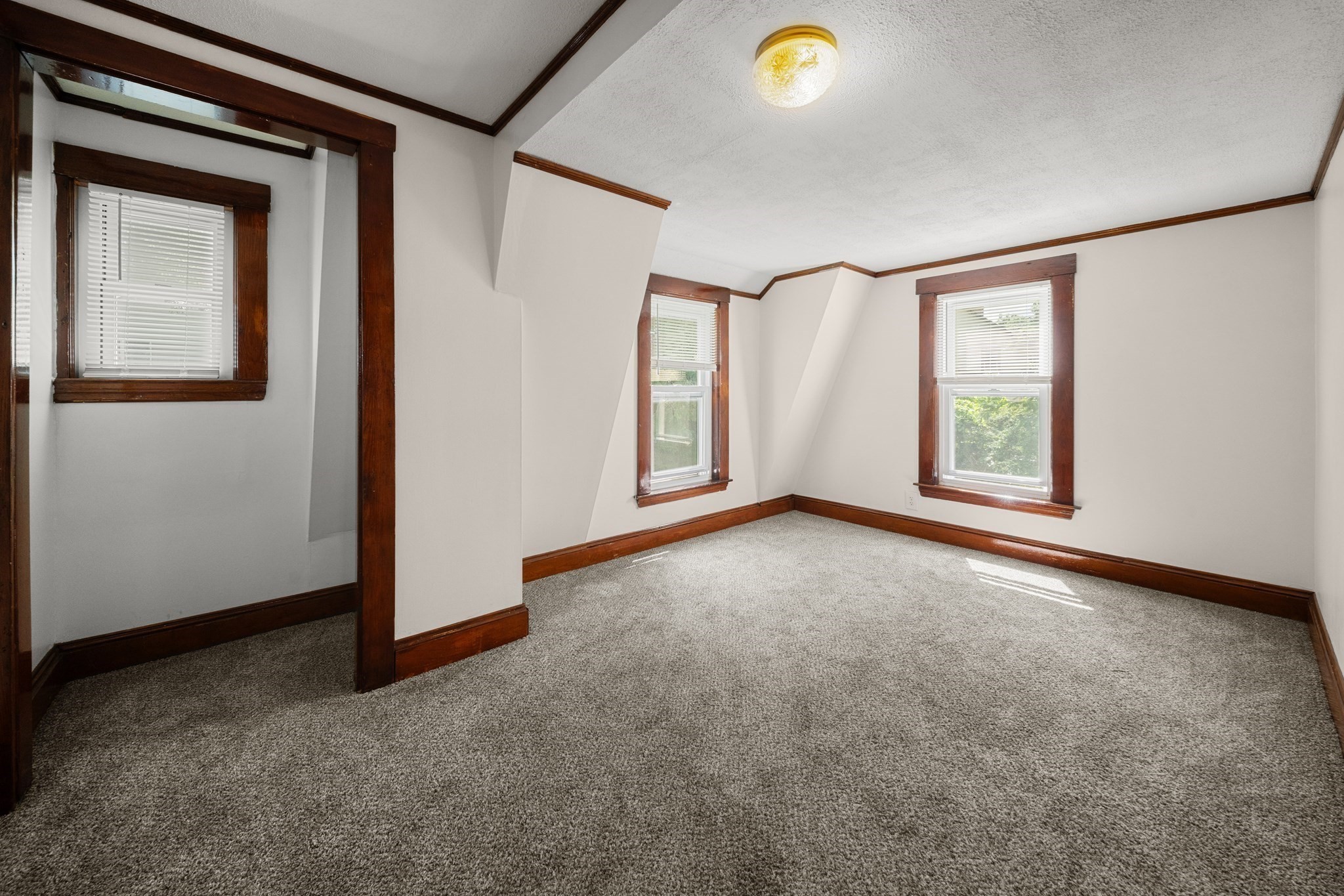 15 Shirley Street Property Photo 24