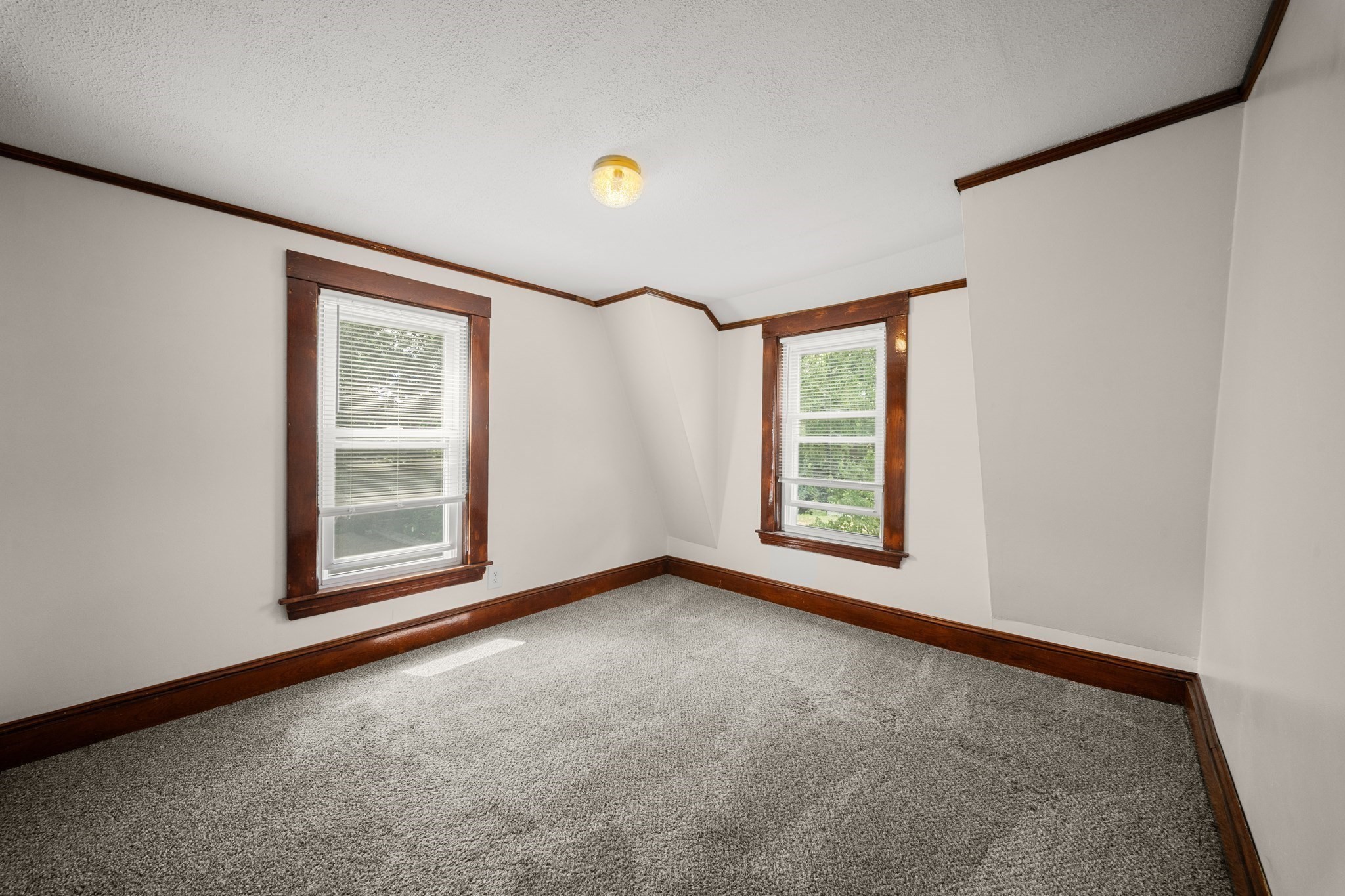 15 Shirley Street Property Photo 27