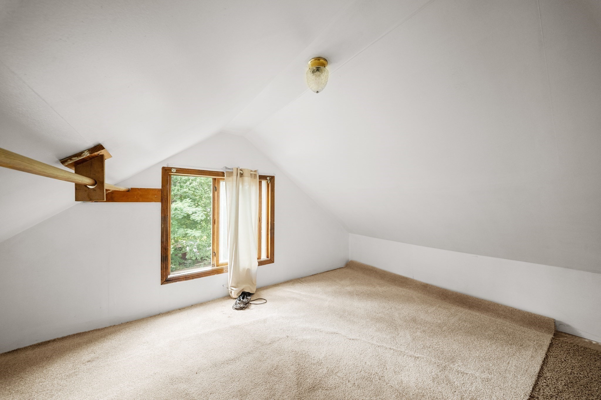 15 Shirley Street Property Photo 33