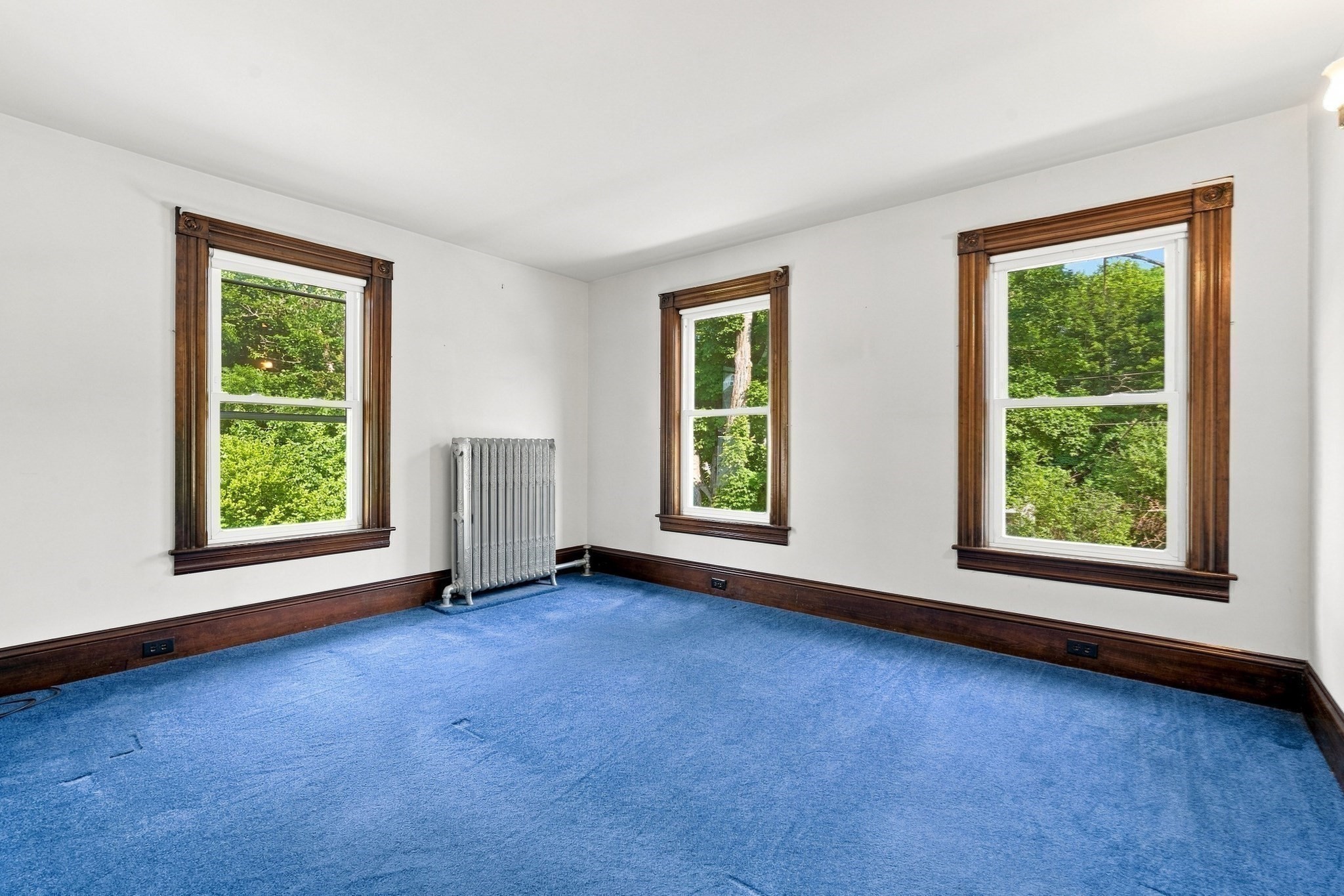 11 Newton Street Property Photo 21