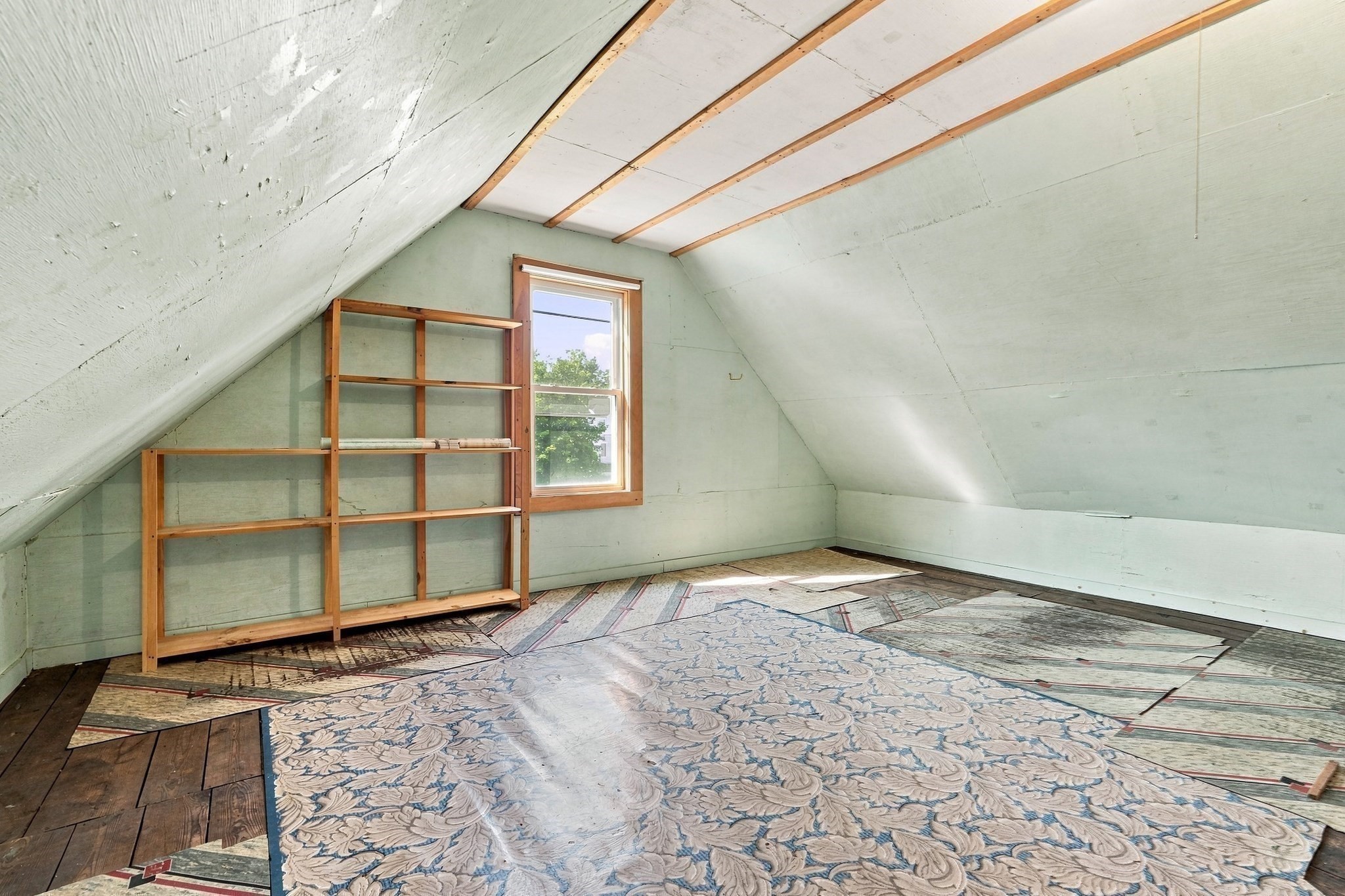 11 Newton Street Property Photo 25