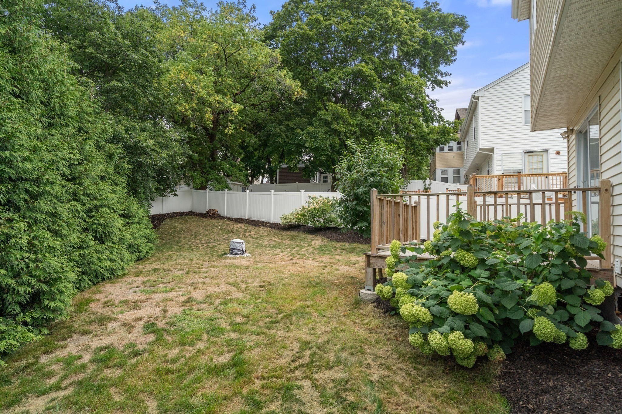 6 Tyler St Property Photo 27