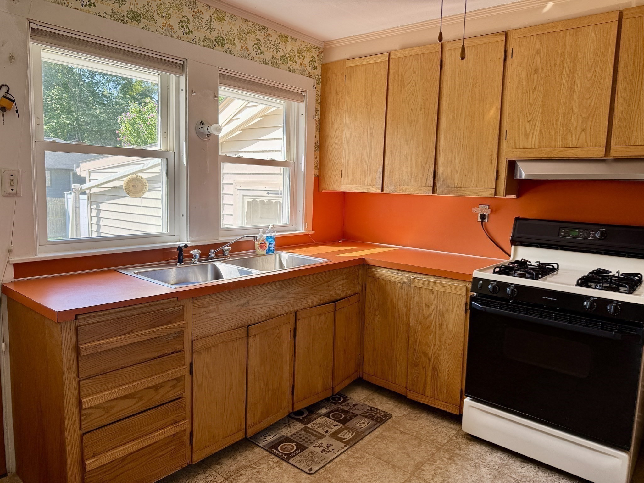 16 Pauline St Property Photo 16